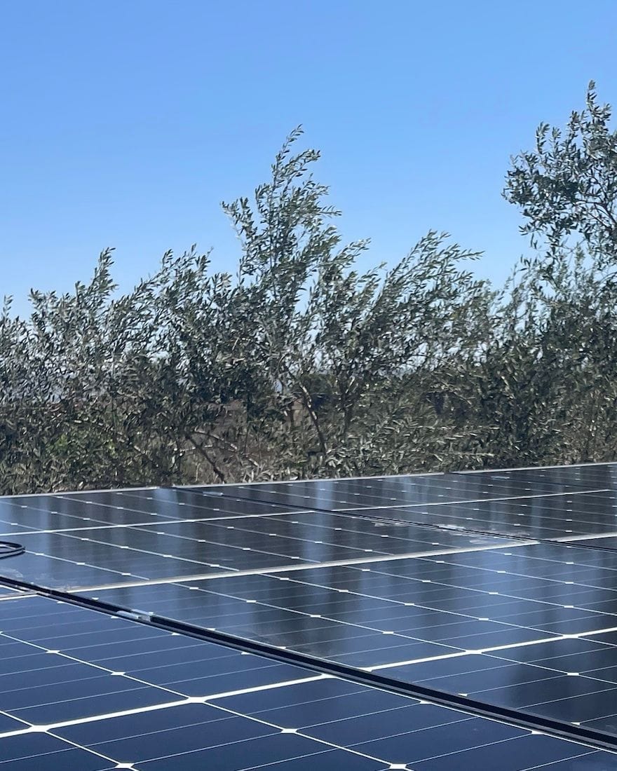 Pannelli fotovoltaici su un tetto, con gli ulivi intorno e il cielo aperto